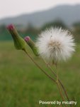 DSCN0492