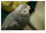 IMG_3391