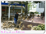 bIMG_2115
