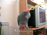 Img9169