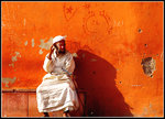 Orange-and-White