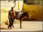 donkeyman