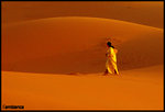 saharawoman1