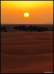 sunset1a__copy