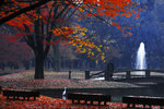 yoyogi1aBB