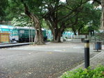 DSC07218