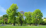 15 May 2005