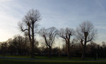 17 Dec 2005