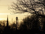 DSC08318
