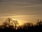 DSC08335