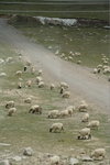 Tibet_20070619_0060