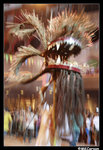 FireDragon_b0181
