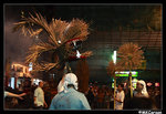 FireDragon_c3168
