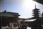 Asakusa_5D_5761