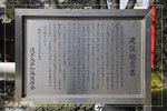Asakusa_5D_5771
