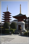 Asakusa_5D_5772
