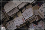 Asakusa_800IS_4523