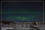 Aurora_5D_5465