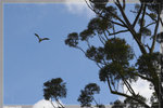 Zoo_22R1535