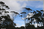 Zoo_22R1536