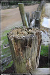 Zoo_22R1537
