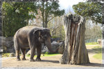 Zoo_22R1552