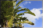 Zoo_22R1565