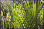 Zoo_22R1566