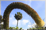 Zoo_22R1579