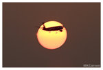 Sun_And_Plane_8320