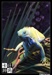 PerthZoo_c2217