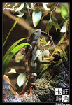 PerthZoo_c2220