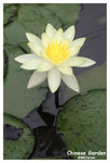 ChineseGarden_c0888