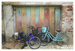 Gate_and_Bike_9214