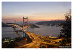 TsingMa_8239