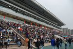 DSC_1982