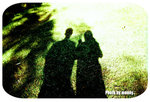 shadow