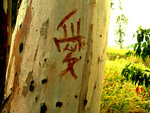 
& find ouR lOve..