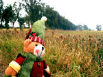 
we look around,