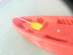 DSCN5674