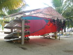 DSCN5909