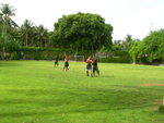 DSCN6062