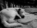 zzzzzZZZZ