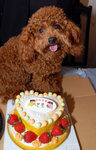 �ڭ���bday cake!