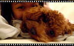 zzzzzzzZZzzz time~~