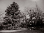 IR
