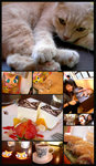 20061007 @ TST cAt