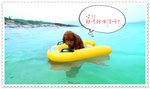 �Ĥ@��swim, ���_�_~~