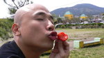 
�ڭөC�Y�}�n谩O?
