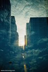 lomo_LCA_01